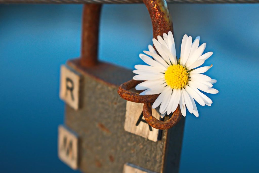 rust, padlock, old-4825520.jpg